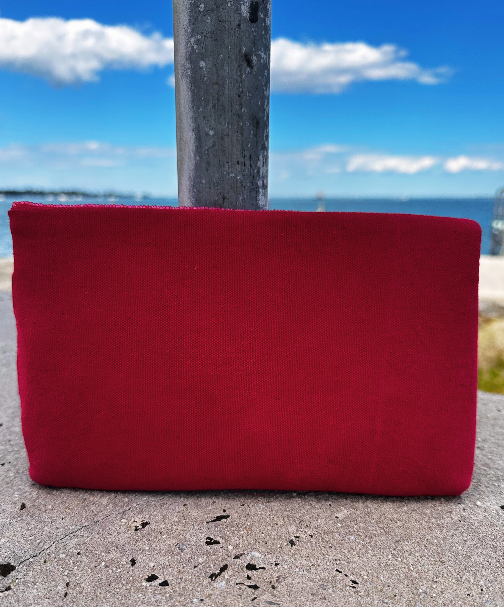 Coastal beaded Lobster Clutch- Pink